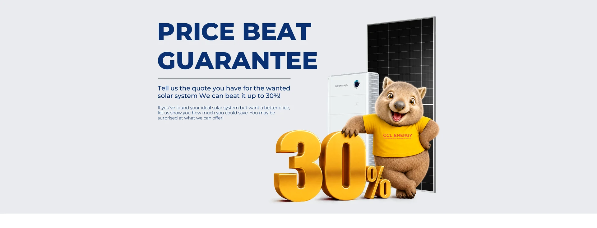 Price Beat Guarantee: solar panels, battery, mascot and up to 30 percent offer