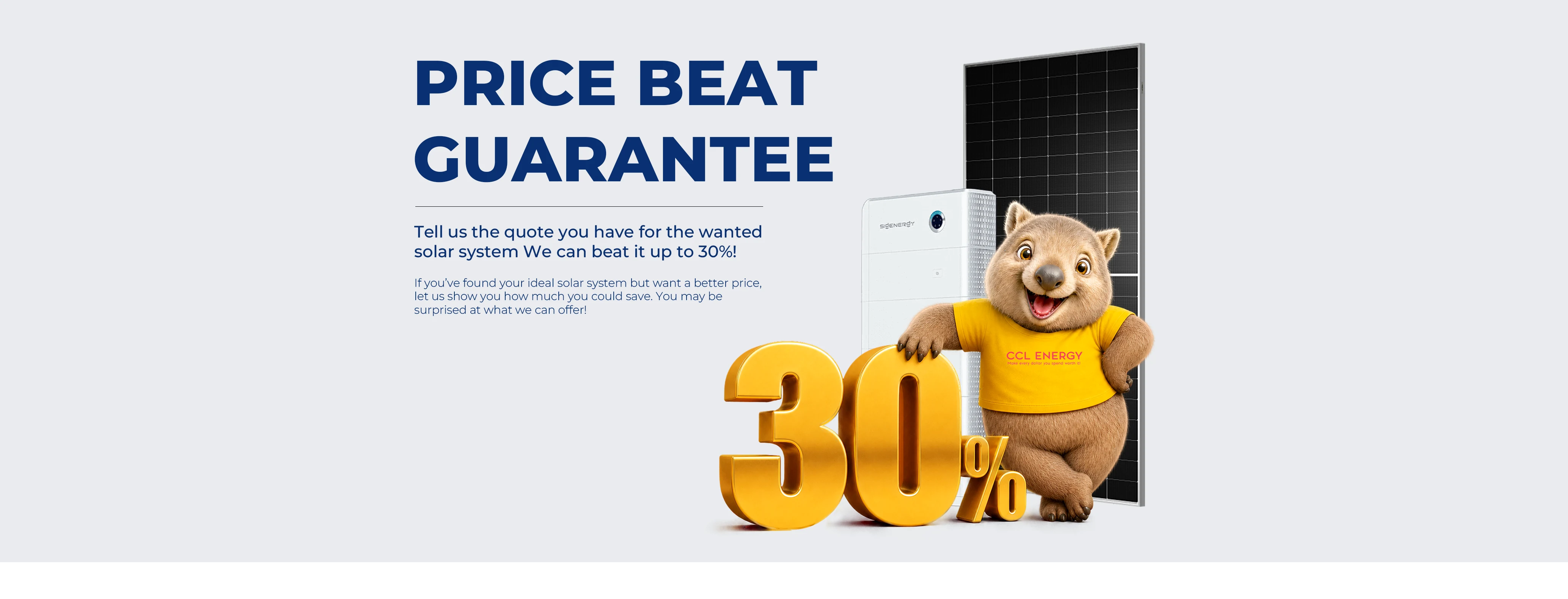 Price Beat Guarantee: solar panels, battery, mascot and up to 30 percent offer